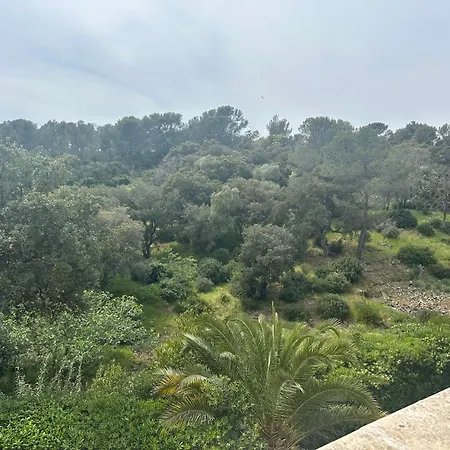 Dolce Farniente A 300m De La Apartment *